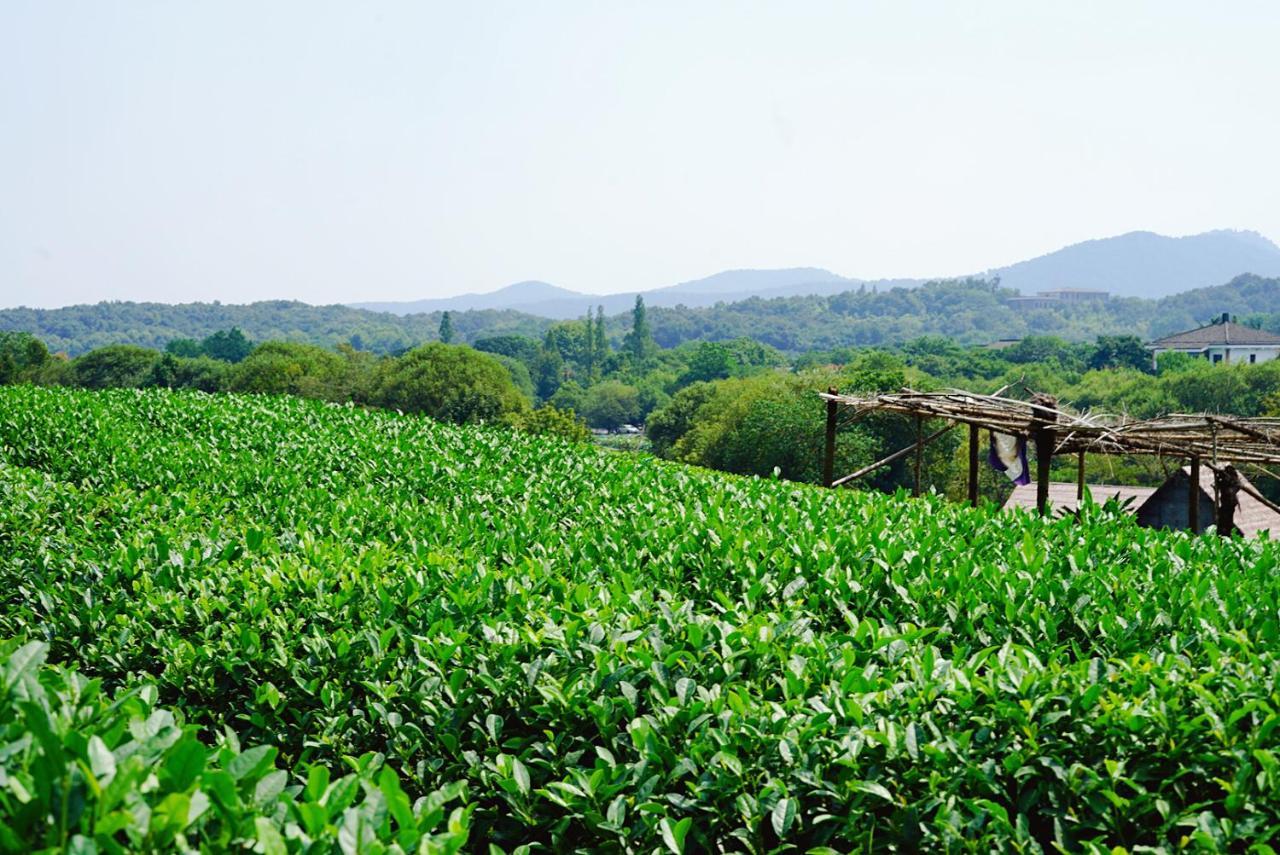 The Mountain Hotel Hangzhou Bagian luar foto